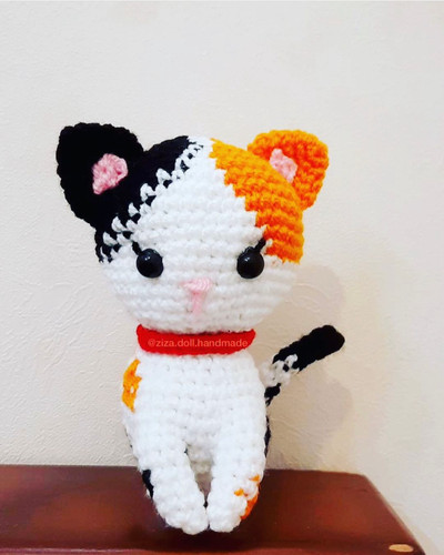 گربه بافتنی